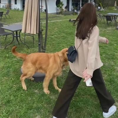 怪奇物语